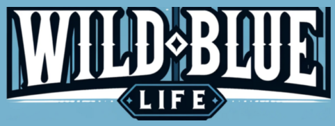 Wildblue Life